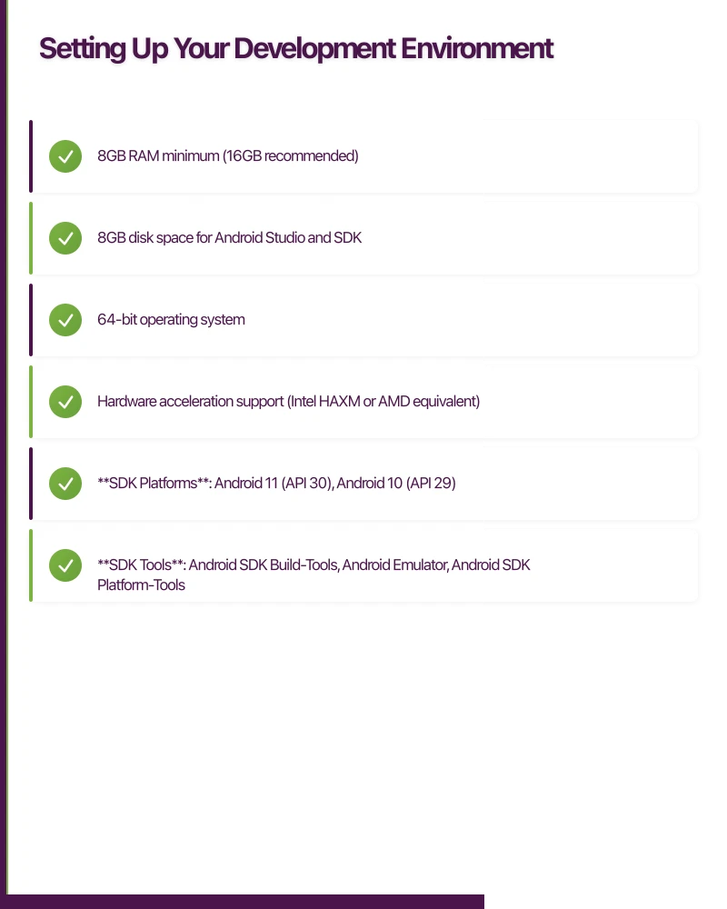 Setting Up Your Development Environment Infographic