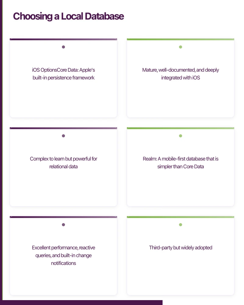 Choosing a Local Database Infographic