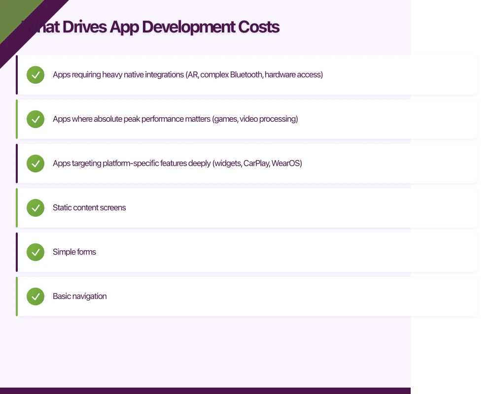 What Drives App Development Costs Infographic