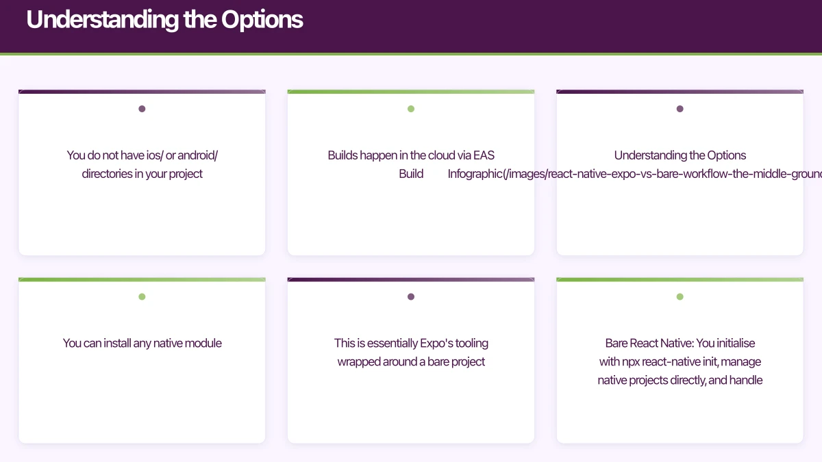 Understanding the Options Infographic